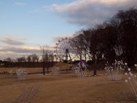 2010-0047.jpg