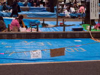 201003-b085.jpg