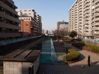 2010030007.jpg