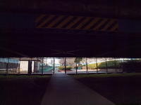 2010030011.jpg