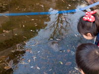 2010030012.jpg