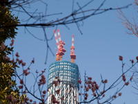 2010030018.jpg