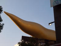 2010030059.jpg