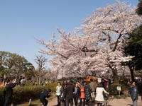 201004013.jpg