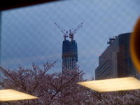 201004028.jpg