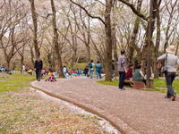 201004055.jpg