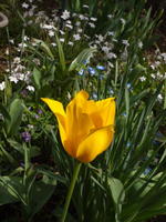 201004067.jpg