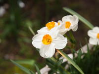 201004072.jpg