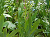 201004081.jpg