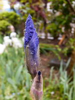 201004101.jpg