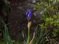 201004104.jpg