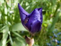 201004107.jpg