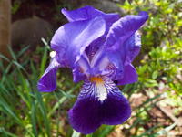 201004118.jpg