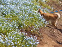 201005047.jpg
