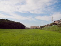 2010070011.jpg