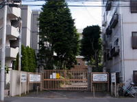 2010070061.jpg