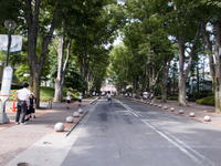 2010070064.jpg
