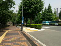 2010070066.jpg