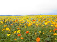2010080006.jpg