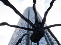 2010080058.jpg