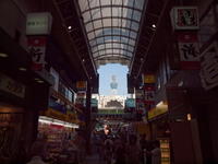 2010090046.jpg