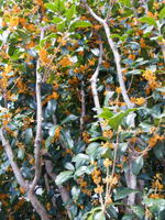 2010100003.jpg