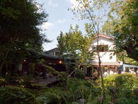2010120015.jpg