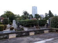 2010120030.jpg