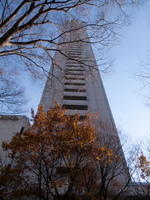 2010120047.jpg