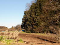 201020100101-81_0057.jpg