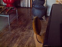 2011010033.jpg