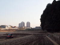 2011010056.jpg