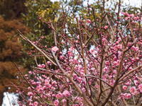 2011010060.jpg