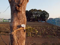 2011020024.jpg