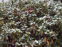 2011020043.jpg