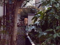 2011020060.jpg