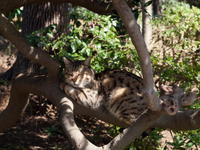 2011020068.jpg