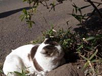 2011020071.jpg