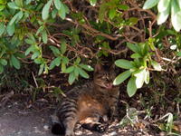 2011020072.jpg