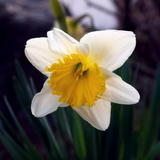2011030006.jpg