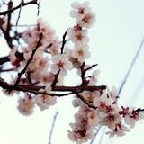 2011030010.jpg