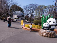 2011030011.jpg