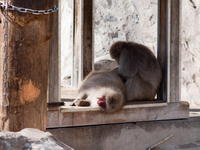 2011030026.jpg