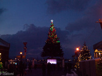 2011~_C123416.jpg