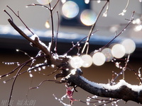 2012010052.jpg