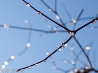 2012010053.jpg