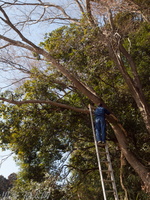 201201_0013.jpg