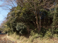 201201_0014.jpg