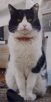 201201_0026.jpg