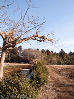201201_0029.jpg